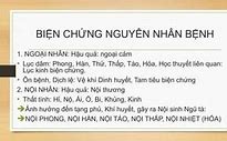 Phong Hàn Thử Thấp Táo Hoả Là Gì